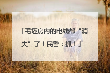 毛坯房内的电线都“消失”了！民警：抓！
