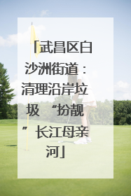 武昌区白沙洲街道：清理沿岸垃圾 “扮靓”长江母亲河