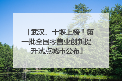 武汉、十堰上榜！第一批全国零售业创新提升试点城市公布