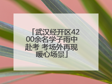 武汉经开区4200余名学子雨中赴考 考场外再现暖心场景