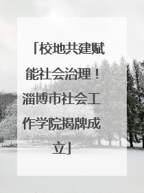 校地共建赋能社会治理！淄博市社会工作学院揭牌成立