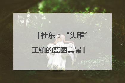 桂东：“头雁”王镇的蓝图美景