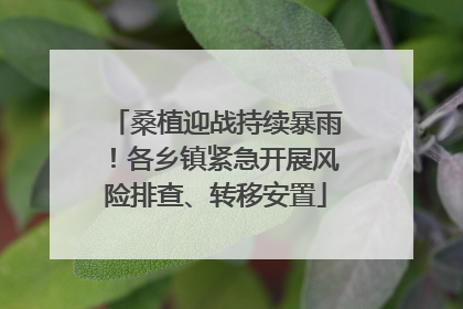 桑植迎战持续暴雨！各乡镇紧急开展风险排查、转移安置