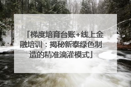 梯度培育台账+线上金融培训：揭秘新泰绿色制造的精准滴灌模式