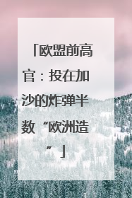 欧盟前高官：投在加沙的炸弹半数“欧洲造”