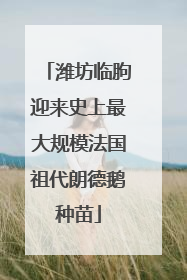 潍坊临朐迎来史上最大规模法国祖代朗德鹅种苗