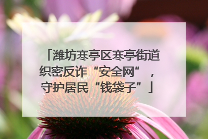潍坊寒亭区寒亭街道织密反诈“安全网”，守护居民“钱袋子”