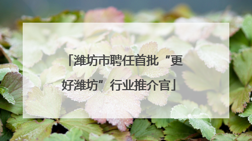 潍坊市聘任首批“更好潍坊”行业推介官