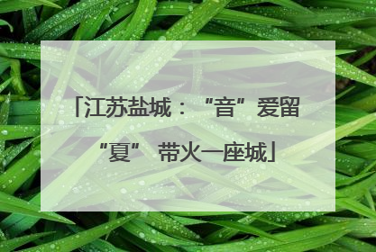 江苏盐城：“音”爱留“夏” 带火一座城