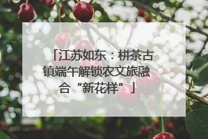 江苏如东：栟茶古镇端午解锁农文旅融合“新花样”