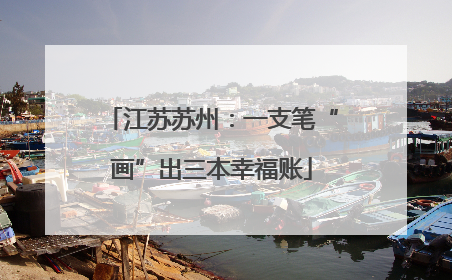 江苏苏州：一支笔“画”出三本幸福账