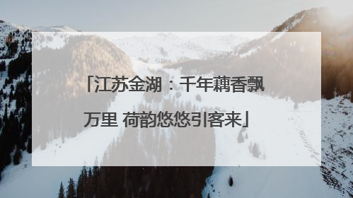 江苏金湖：千年藕香飘万里 荷韵悠悠引客来
