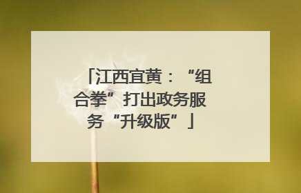江西宜黄：“组合拳”打出政务服务“升级版”