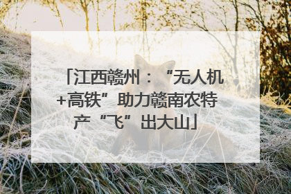 江西赣州：“无人机+高铁”助力赣南农特产“飞”出大山