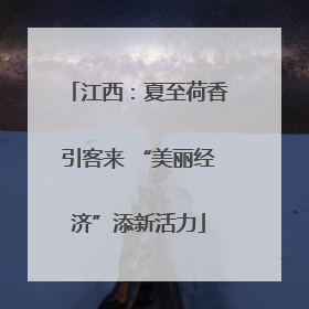 江西：夏至荷香引客来 “美丽经济”添新活力