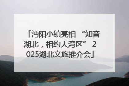 沔阳小镇亮相 “知音湖北，相约大湾区” 2025湖北文旅推介会