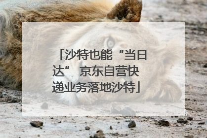 沙特也能“当日达” 京东自营快递业务落地沙特