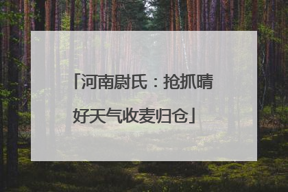 河南尉氏：抢抓晴好天气收麦归仓