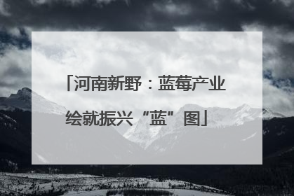 河南新野：蓝莓产业绘就振兴“蓝”图