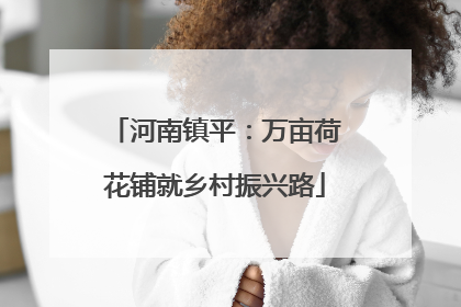 河南镇平：万亩荷花铺就乡村振兴路