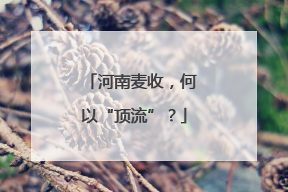 河南麦收，何以“顶流”？