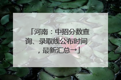 河南：中招分数查询、录取线公布时间，最新汇总→