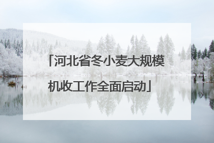 河北省冬小麦大规模机收工作全面启动