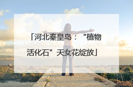 河北秦皇岛：“植物活化石”天女花绽放
