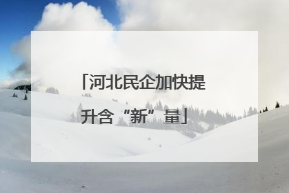 河北民企加快提升含“新”量