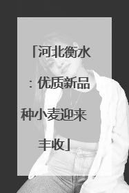 河北衡水：优质新品种小麦迎来丰收