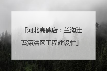 河北高碑店：兰沟洼蓄滞洪区工程建设忙