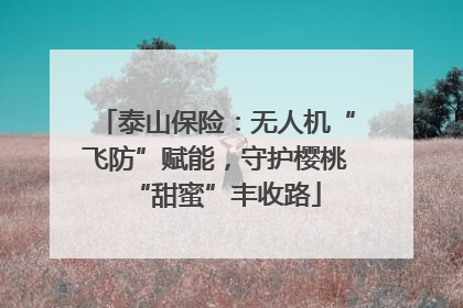 泰山保险：无人机“飞防”赋能，守护樱桃“甜蜜”丰收路