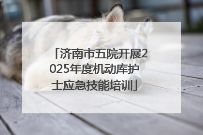 济南市五院开展2025年度机动库护士应急技能培训