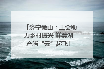 济宁微山：工会助力乡村振兴 鲜美湖产腾“云”起飞
