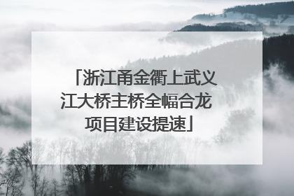 浙江甬金衢上武义江大桥主桥全幅合龙 项目建设提速