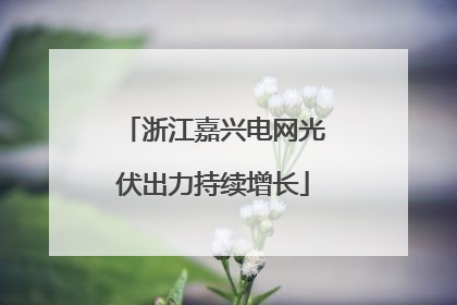浙江嘉兴电网光伏出力持续增长