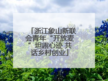 浙江象山新联会青年“开放麦”坦露心迹 共话乡村创业