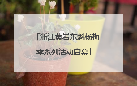 浙江黄岩东魁杨梅季系列活动启幕