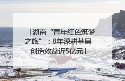 湖南“青年红色筑梦之旅”：8年深耕基层创造效益近5亿元