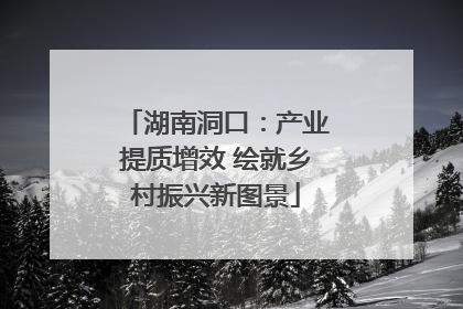 湖南洞口：产业提质增效 绘就乡村振兴新图景