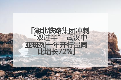 湖北铁路集团冲刺“双过半” 武汉中亚班列一年开行量同比增长72%
