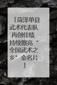 菏泽单县武术代表队再创佳绩 持续擦亮“全国武术之乡”金名片