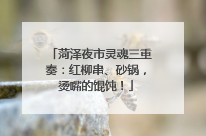 菏泽夜市灵魂三重奏：红柳串、砂锅，烫嘴的馄饨！