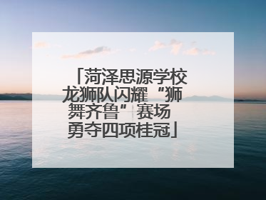 菏泽思源学校龙狮队闪耀“狮舞齐鲁”赛场 勇夺四项桂冠