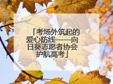 考场外筑起的爱心防线——向日葵志愿者协会护航高考
