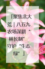 聚焦北大荒｜八五九农场深耕“林长制” 守护“生态绿”