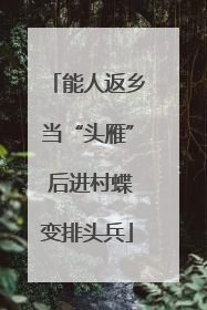 能人返乡当“头雁” 后进村蝶变排头兵