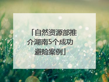 自然资源部推介湖南5个成功避险案例