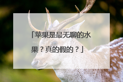 苹果是最无聊的水果？真的假的？