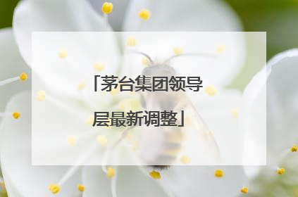 茅台集团领导层最新调整